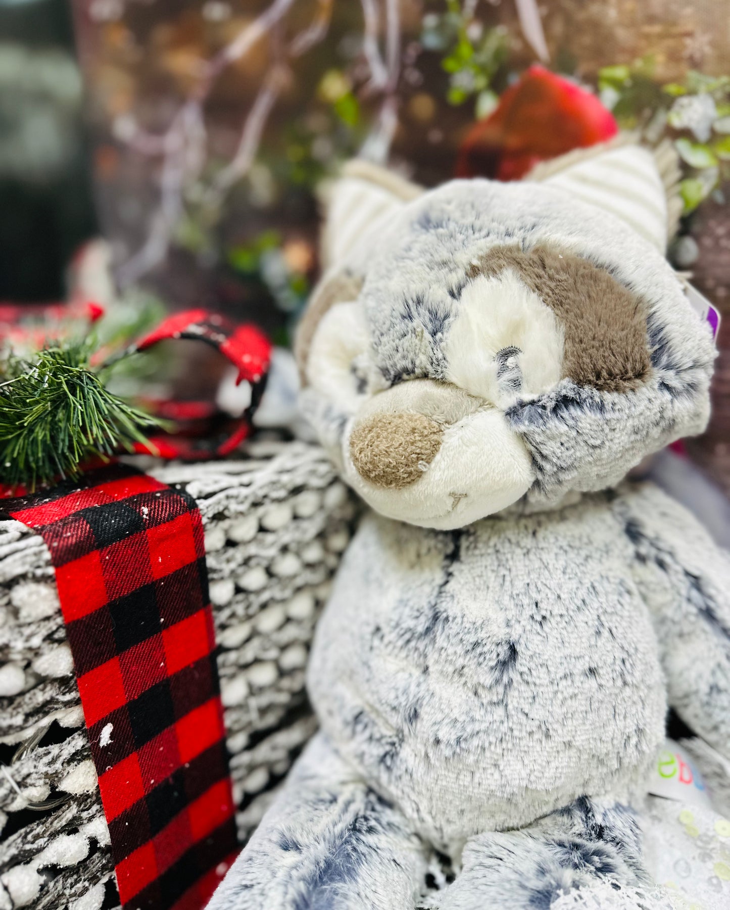 Peluche Raton laveur