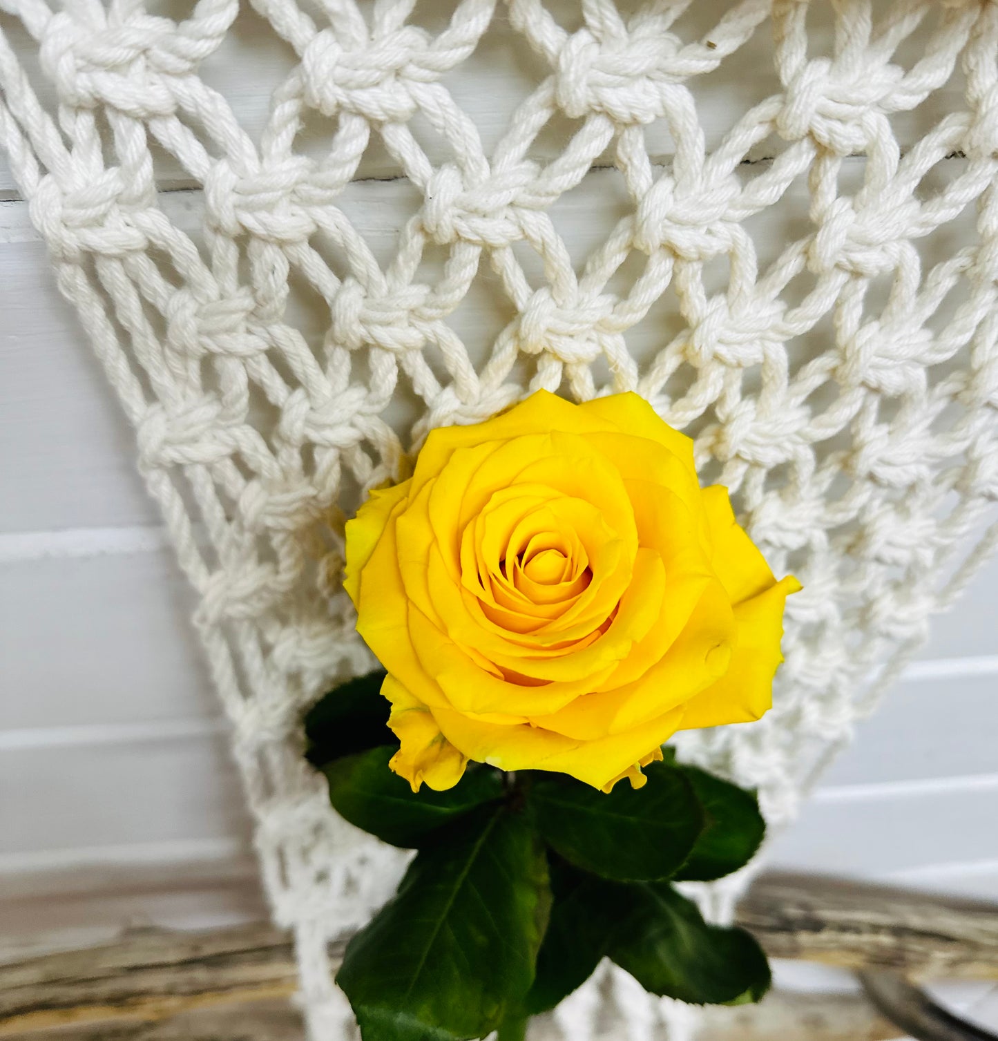 Rose Jaune