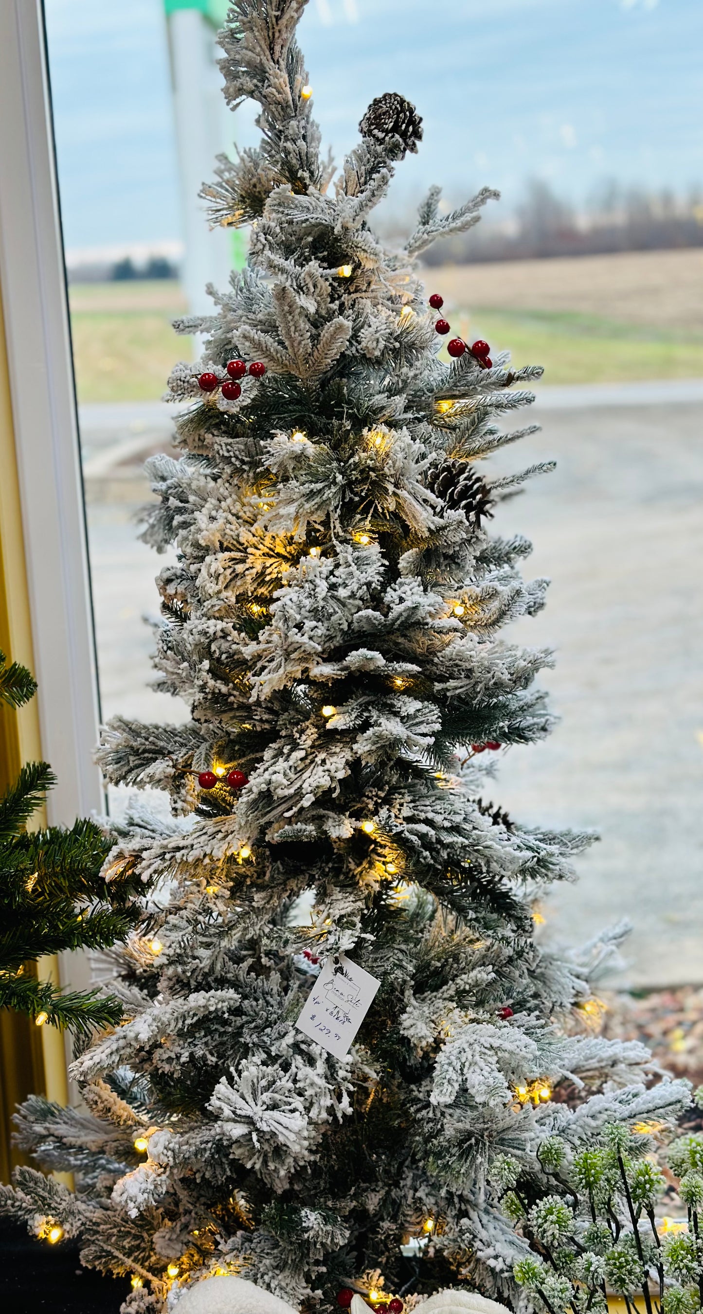 Sapin enneigé et illuminé en pot