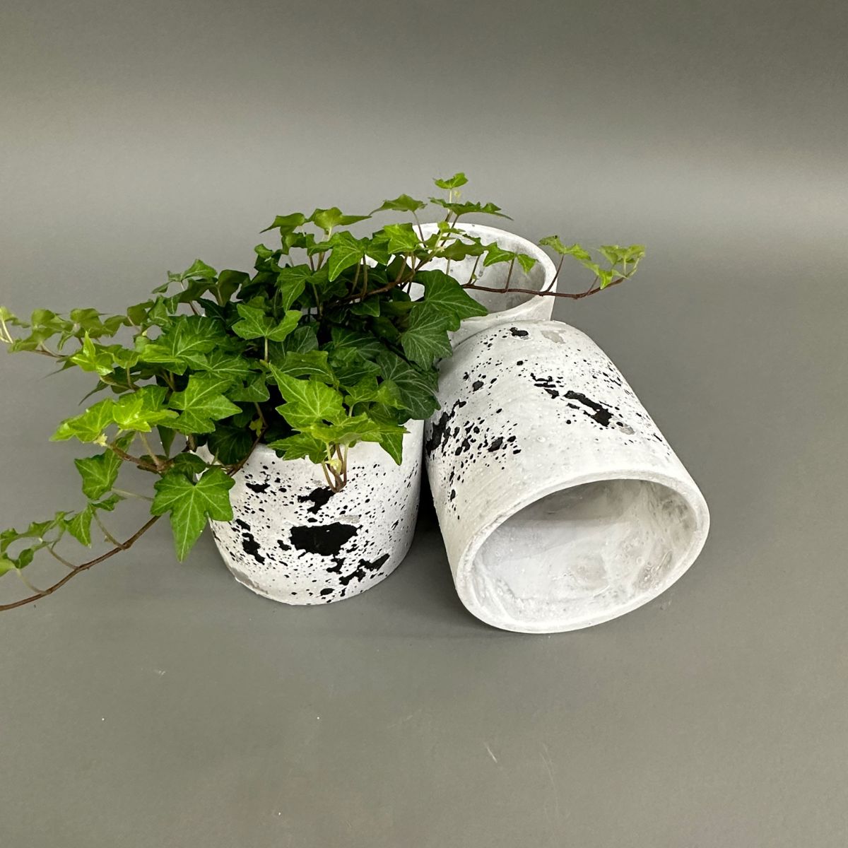 pots céramique aspect béton