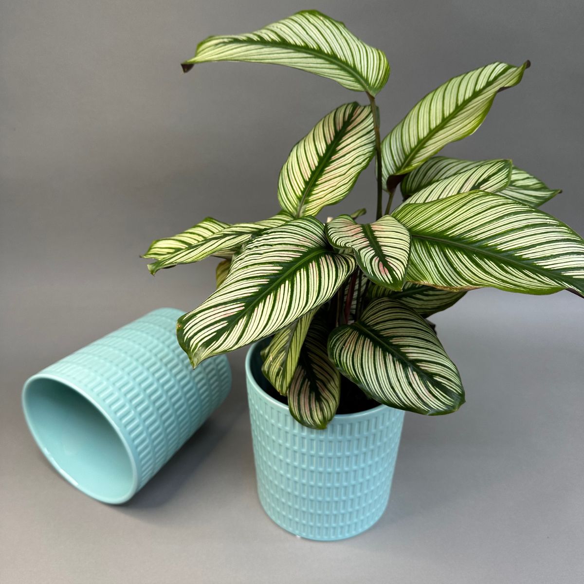 Pot céramique turquoise