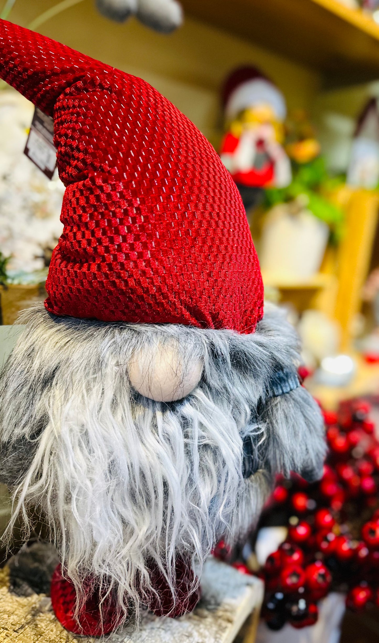 Gnome 24 pouces