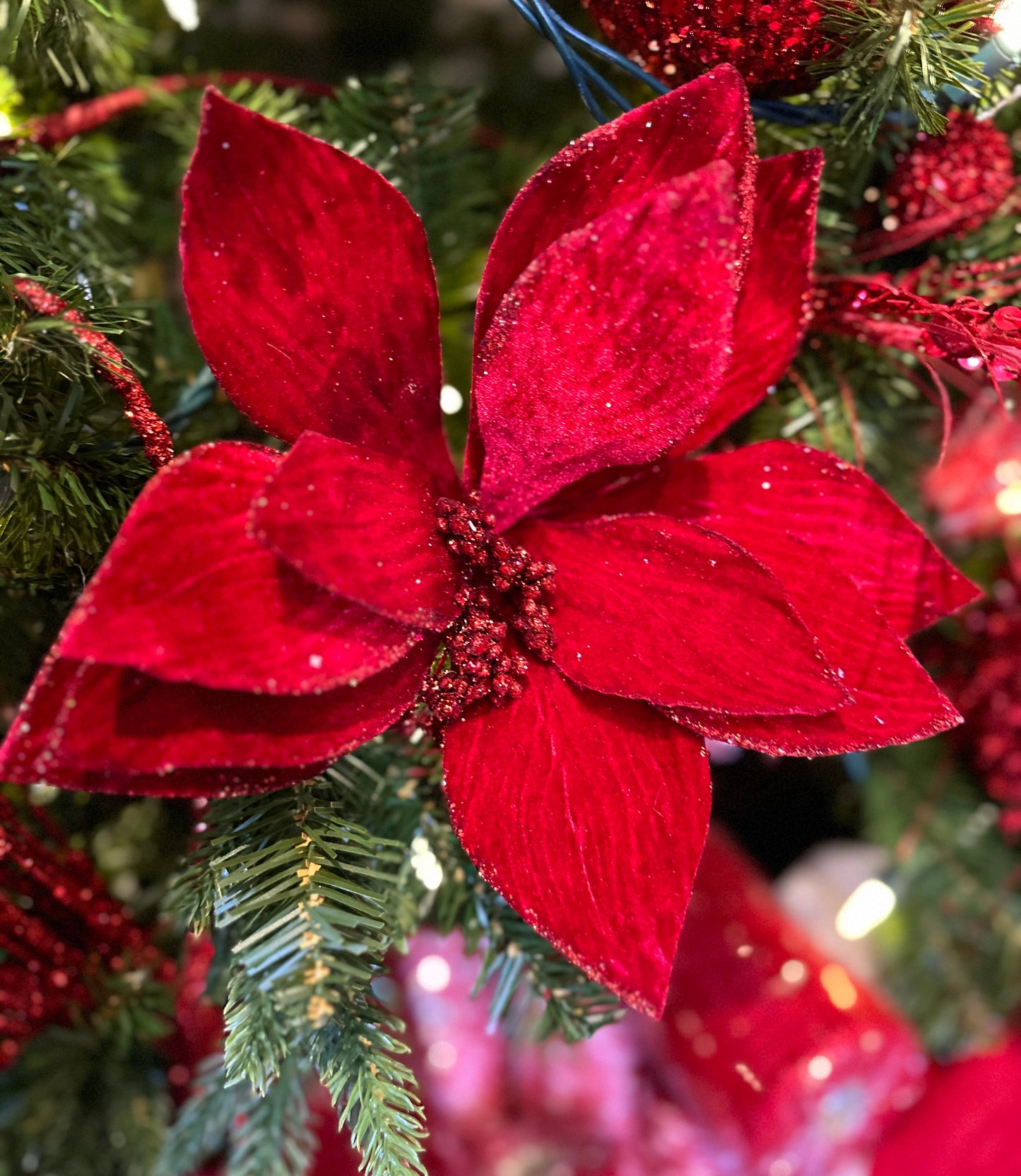 Fleur de poinsettia en velour