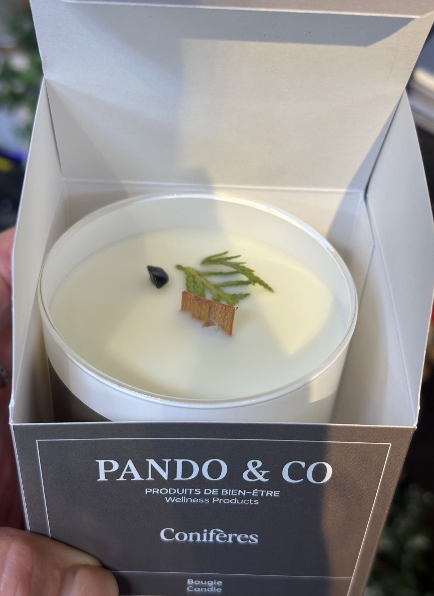 Chandelle Conifères