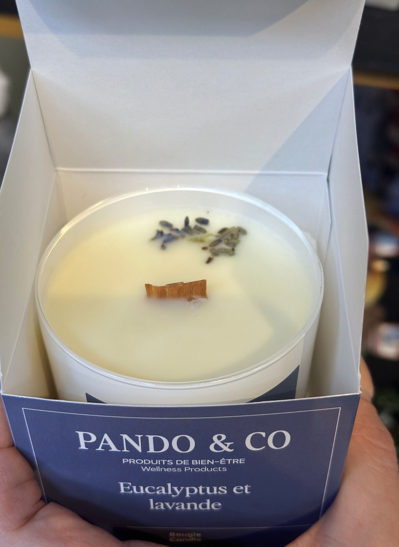 Chandelle Eucalyptus lavande