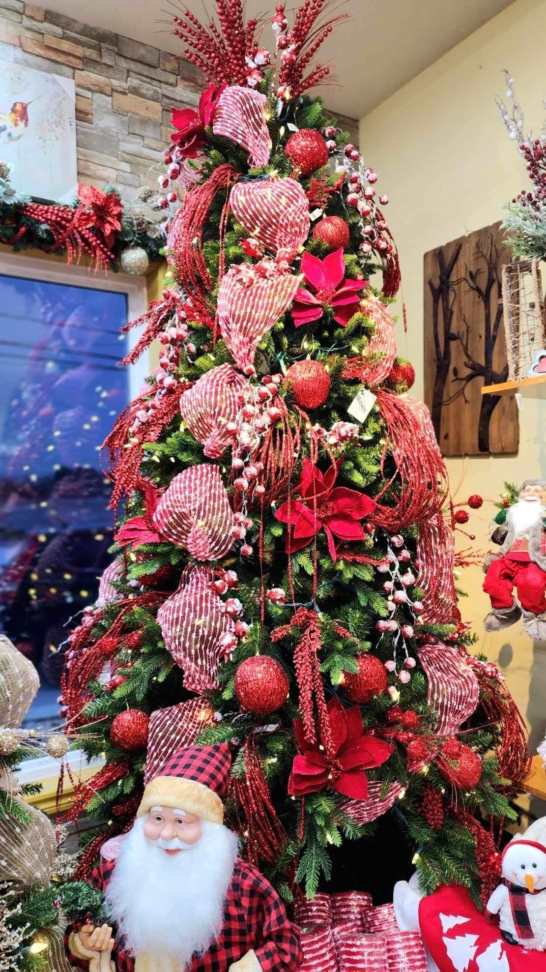 Sapin Nordique 7.5 pieds