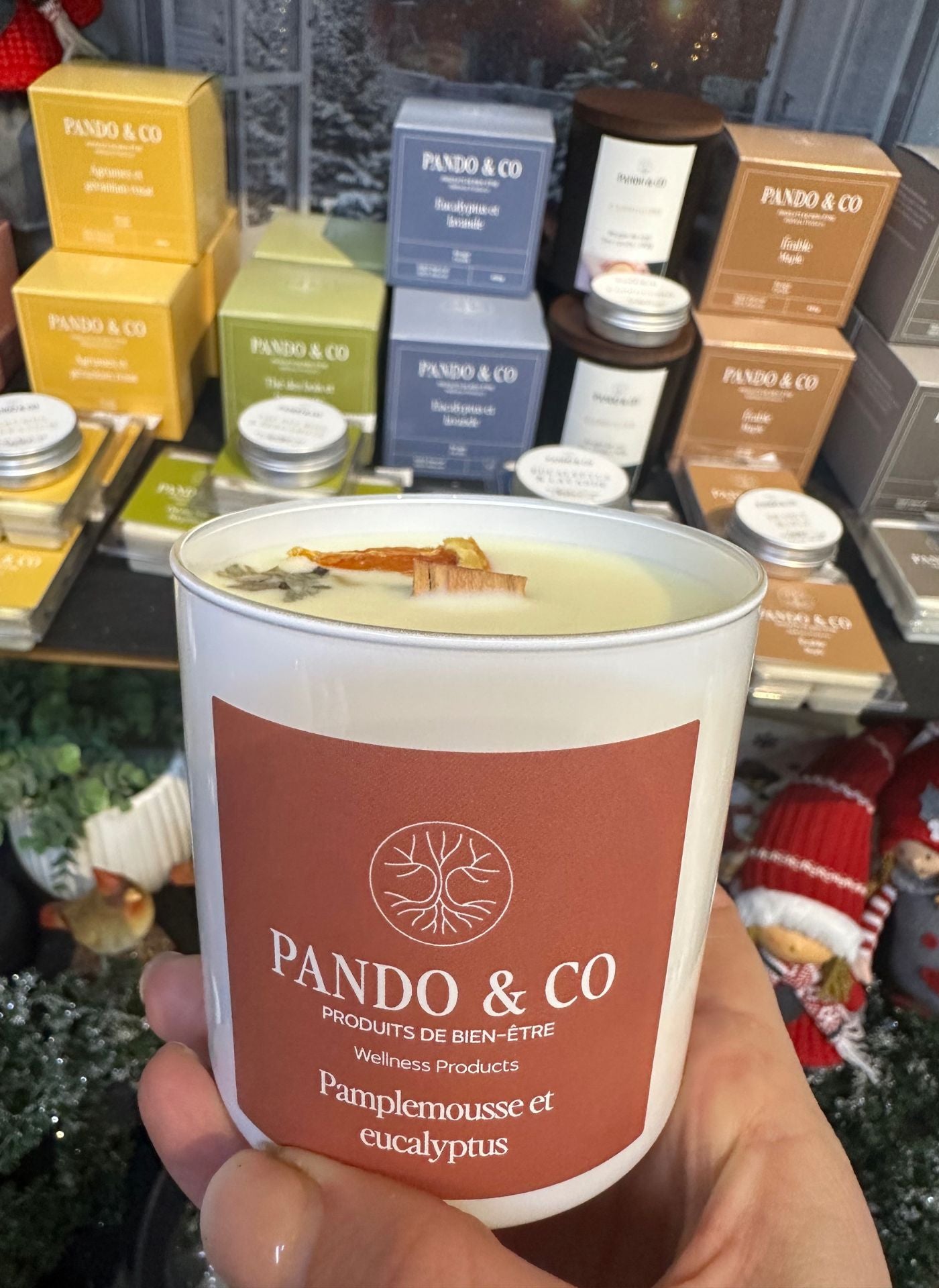 Chandelle Pamplemousse eucalyptus