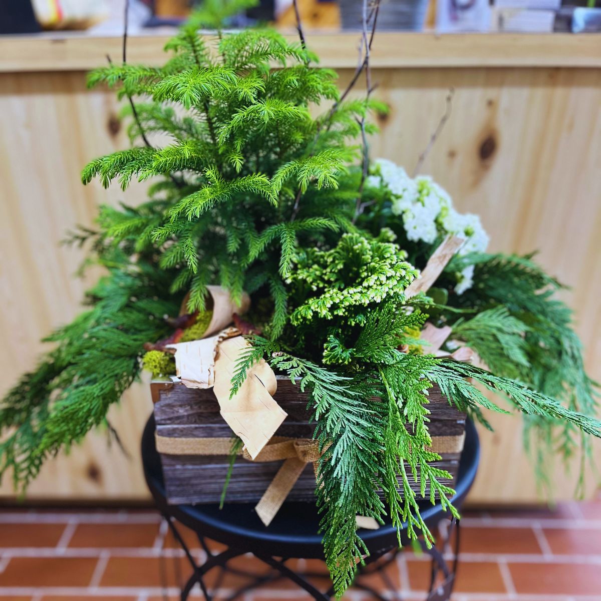 Jardin de plante naturel | JP0007