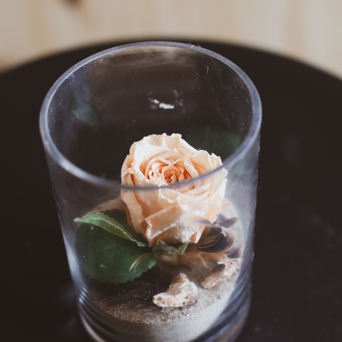 Rose Éternelle Pêche