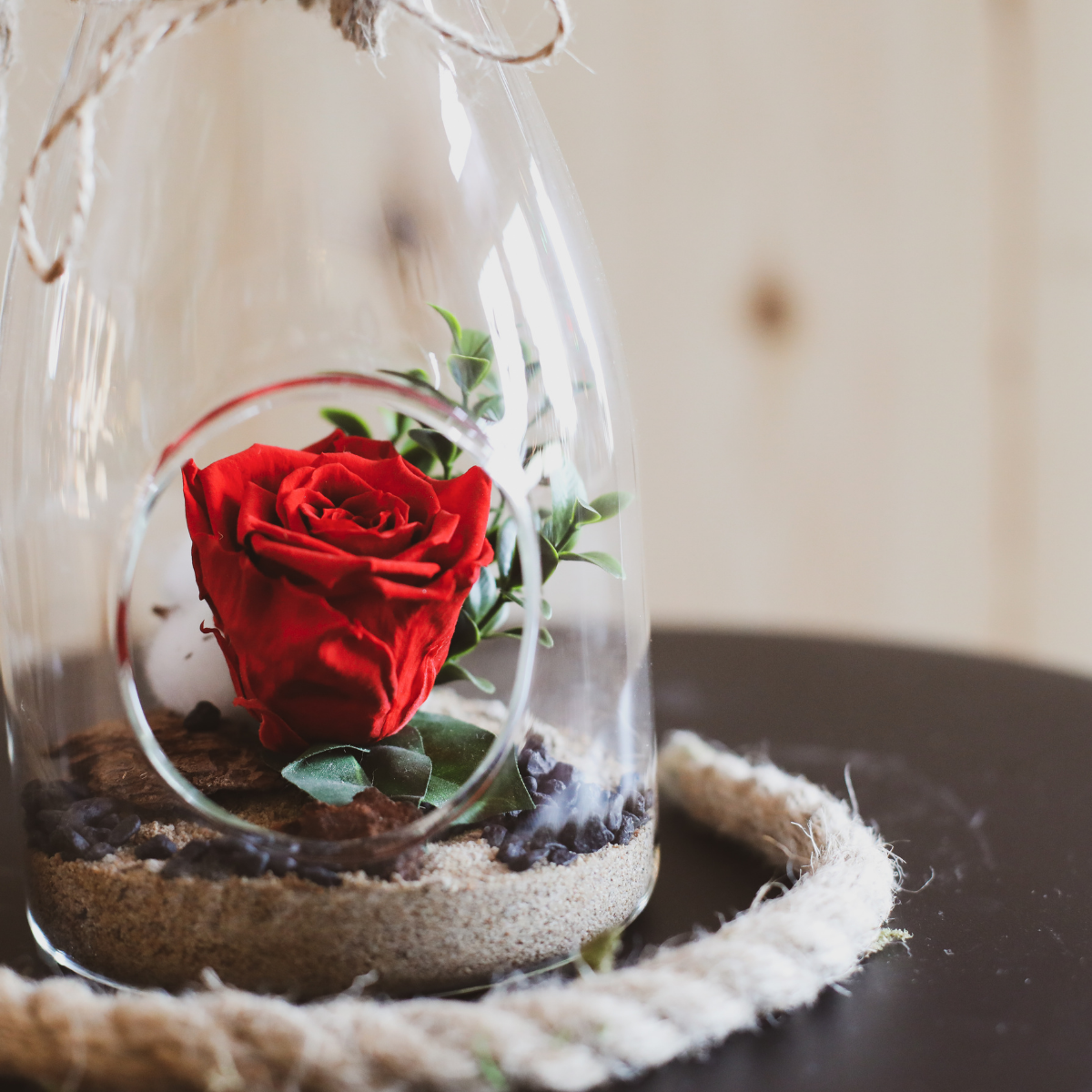 Rose Eternelle (option de couleur)