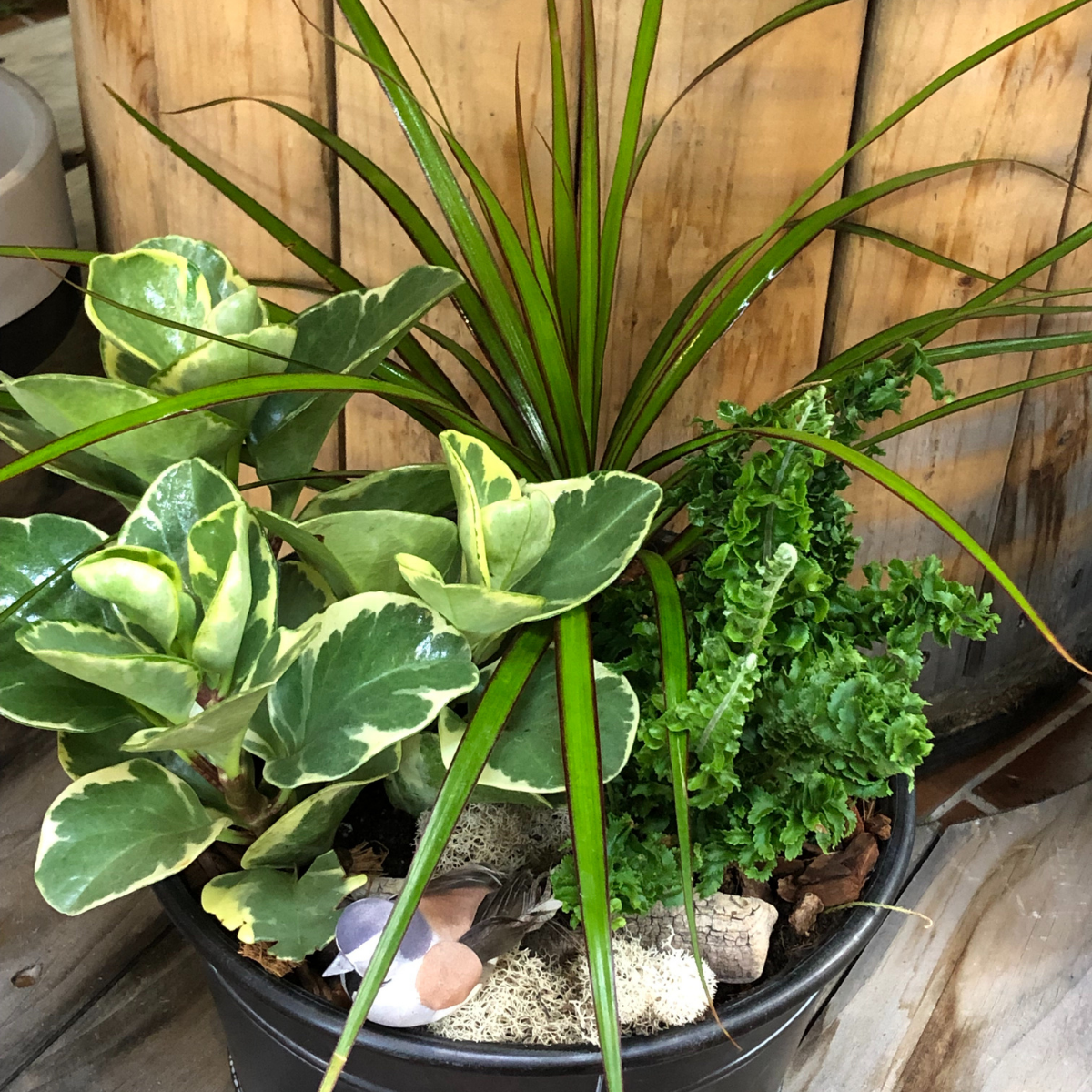 Jardins de plante