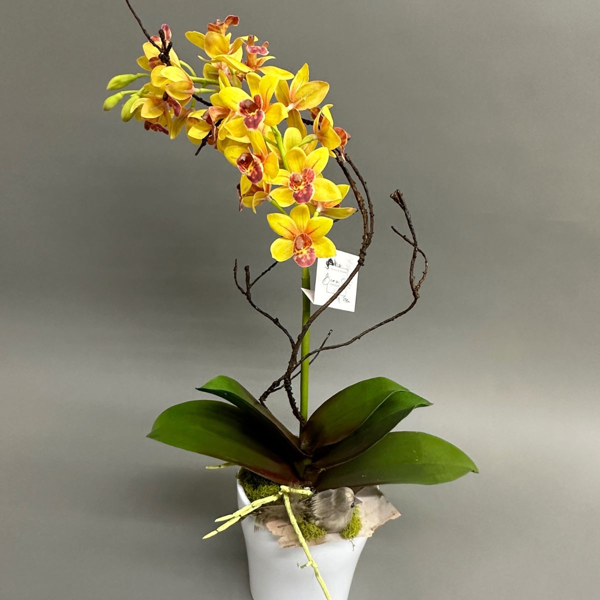 Orchidée fleurs de soie