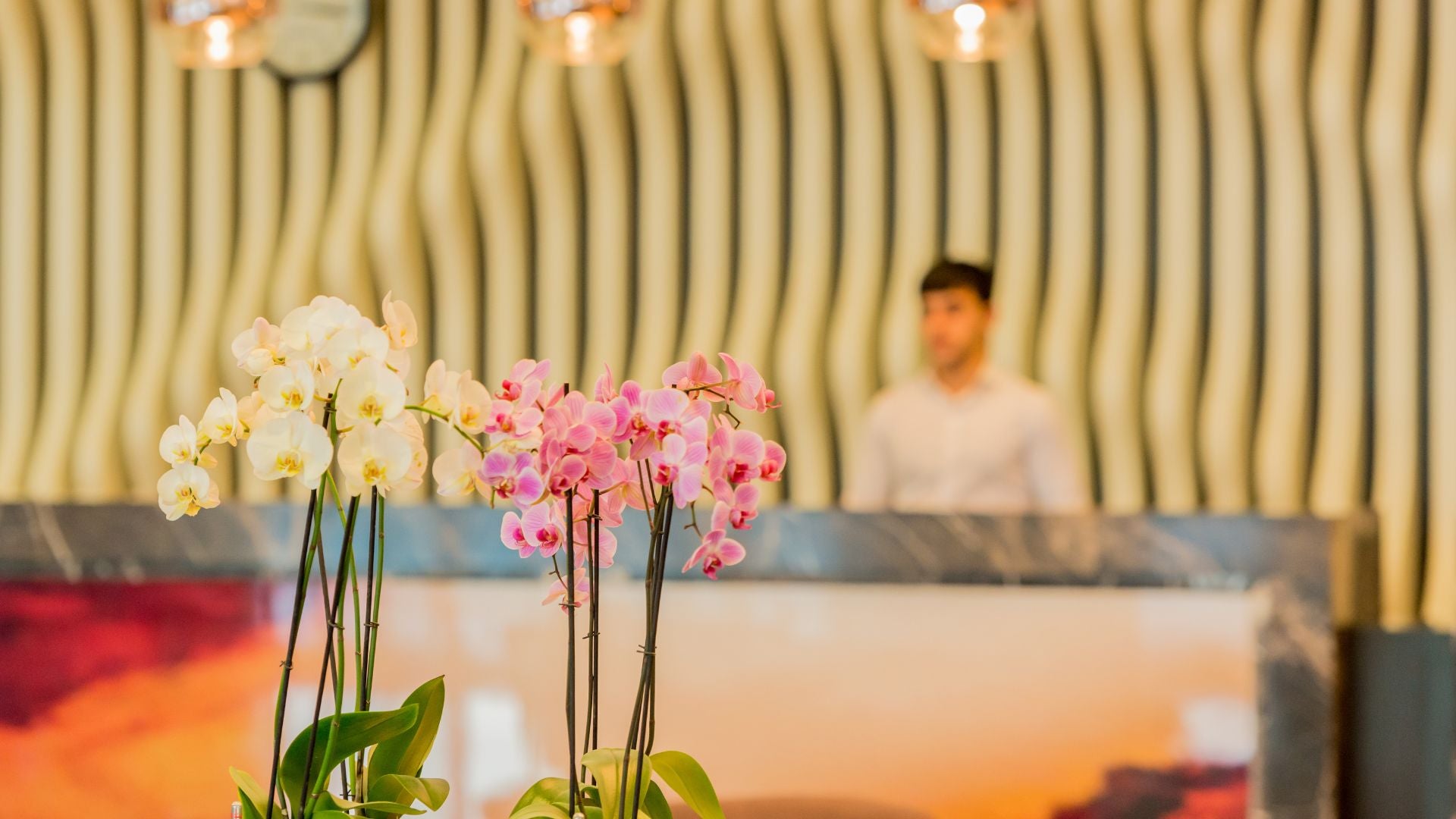 Nous offrons un service de décoration, d’entretien de plantes et de rempotage directement dans votre commerce.